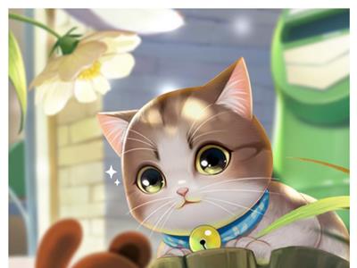 喵与筑猫咪