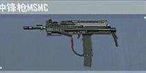 MSMC