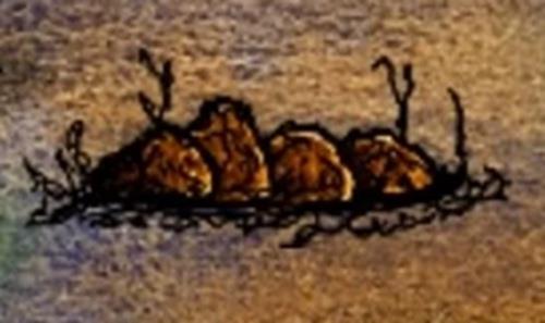 一小时人生熔炉怎么做 一小时人生熔炉怎么用