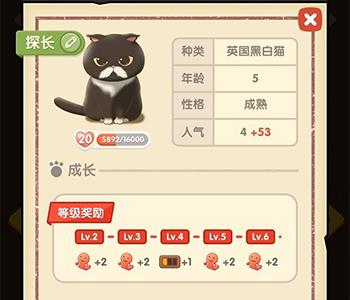 猫语咖啡探长怎么样（猫之语猫咖啡怎么样）