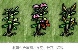 一小时人生图片3