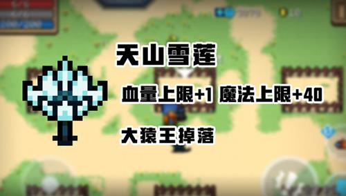 元气骑士天山雪莲有什么作用 元气骑士天山雪莲可以重复使用吗