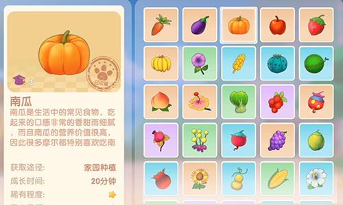 摩尔庄园手游南瓜怎么获得（摩尔庄园手游杰克南瓜）
