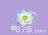 诛仙手游伤心花怎么样（诛仙手游伤心花法宝任务怎么做）