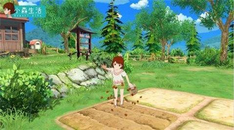 小森生活农田怎么移动（小森生活怎么开垦农田）