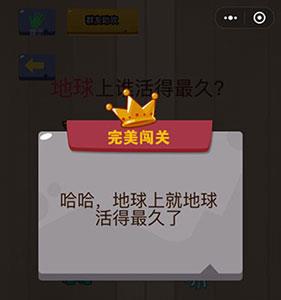 微信脑力大乱斗第62关2