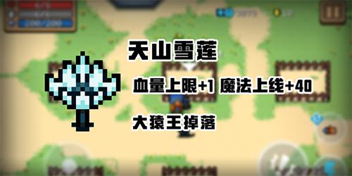 元气骑士新增植物一览3
