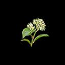 我的侠客昙花怎么获得