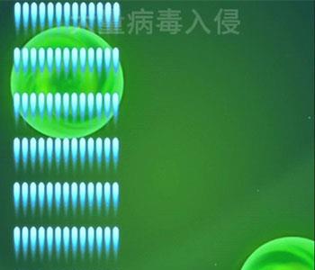消灭病毒绿色能量炮怎么样