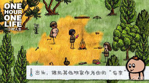 一小时人生出生选择攻略 一小时人生种植攻略