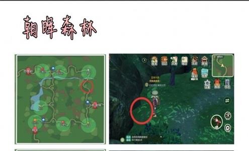 小森生活甲虫怎么获得1
