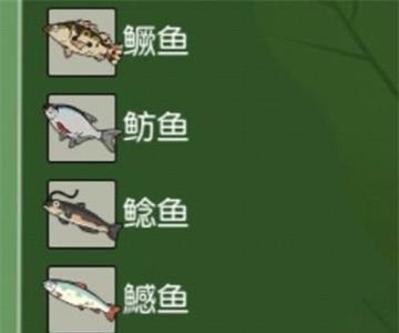 小森生活鱼在哪2