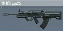 Type25