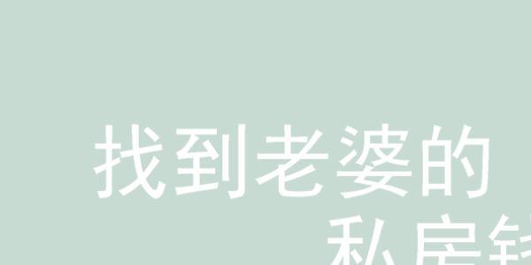 找到老婆的私房钱3攻略大全（老婆的私房钱34关怎么过）