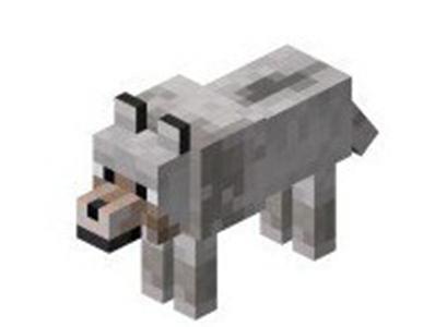 狼
