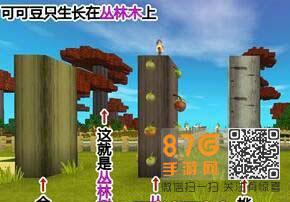 迷你世界可可豆在哪里