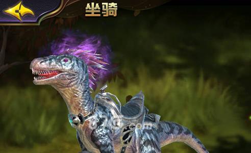 太极熊猫3迅猛龙5
