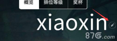 虚荣改名攻略