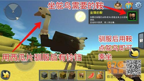 迷你世界鸵鸟怎么驯服2