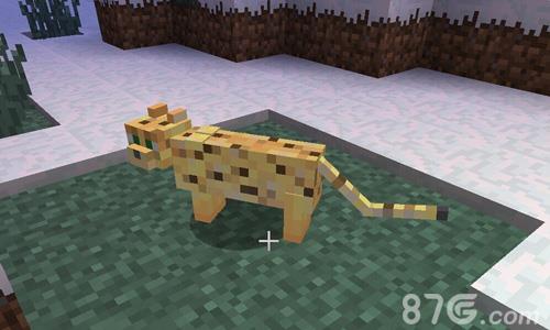 我的世界豹猫图鉴（我的世界豹猫和猫区别）