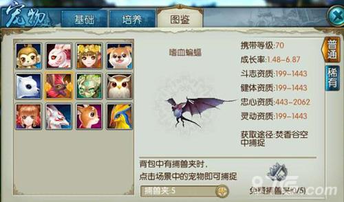 诛仙手游嗜血蝙蝠怎么获得（诛仙手游饕餮宠物怎么获得）