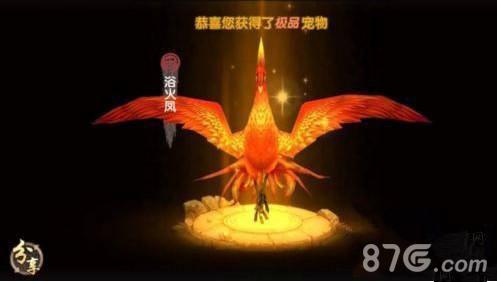 寻仙手游骑宠怎么进化 寻仙手游骑宠