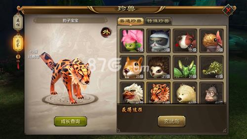天龙八部手游豹子宝宝