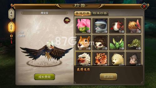 天龙八部手游鹰宝宝
