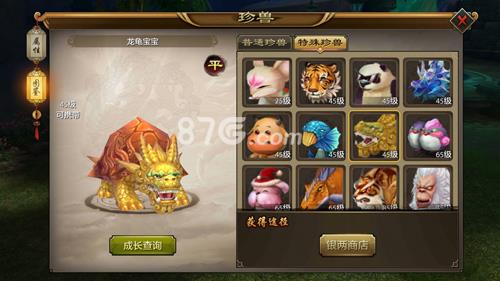 天龙八部手游龙龟宝宝