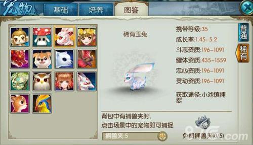 诛仙手游稀有玉兔怎么获得