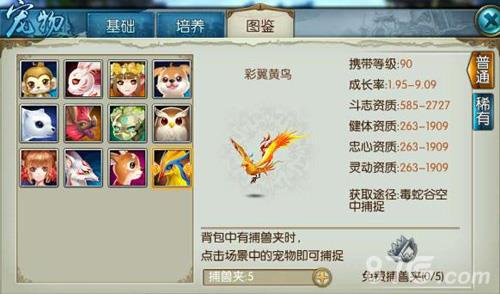 诛仙手游彩翼黄鸟怎么获得（诛仙手游彩翼黄鸟坐标）