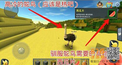 迷你世界鸵鸟怎么驯服（迷你世界鸵鸟怎么驯服当坐骑）