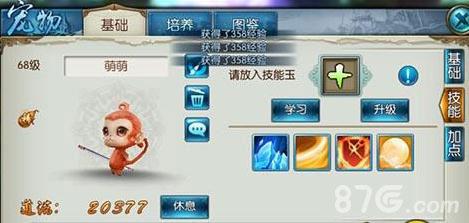 诛仙手游青云宠物技能玉