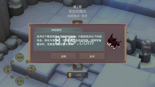 魔女之泉2神秘猫咪怎么打（魔女之泉2神秘猫咪怎么抓）