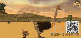 迷你世界鸵鸟在哪里（迷你世界鸵鸟怎么骑上去）