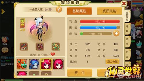 仙灵世界带什么宝宝好 忘仙灵尊带什么宝宝
