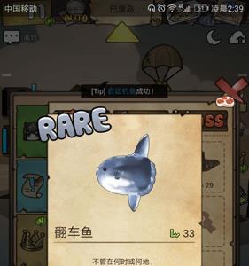 漂流少女巴厘岛稀有鱼