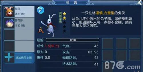 倩女幽魂手游灵兽怎么培养（倩女幽魂手游灵兽技能升级消耗）