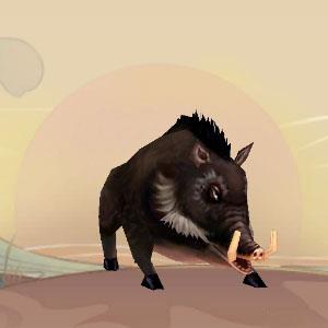 寻仙手游野猪好吗 寻仙手游野猪分布图