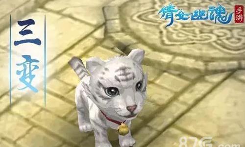 倩女幽魂手游虎咪获得
