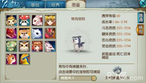 诛仙手游稀有萌狗怎么获得