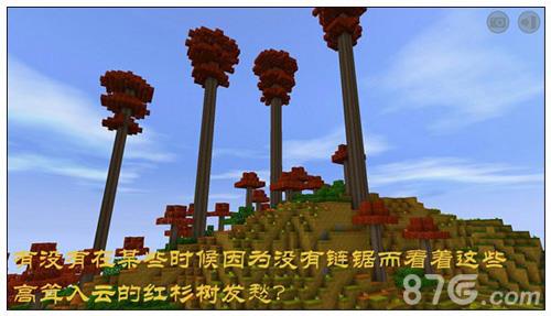 迷你世界红杉木怎么采集（迷你世界红杉木在哪里）
