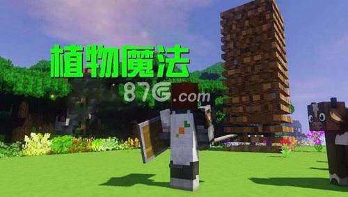 我的世界植物大全（我的世界植物大全图片）