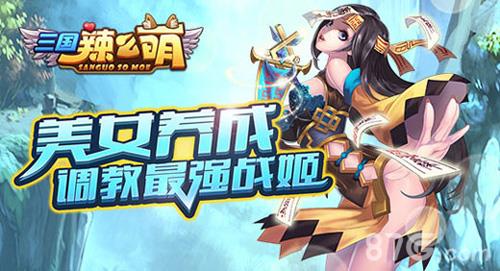 三国辣么萌价格表（幻想三国vip价格表）