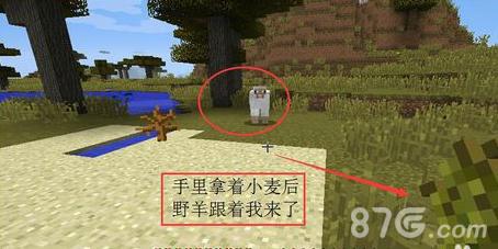 我的世界养动物5
