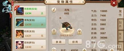 问道手游宠物各项属性全面解析（问道手游宠物属性点加错了怎么办）