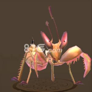 天龙八部手游螳螂宝宝5