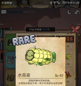 漂流少女马达加斯加稀有鱼