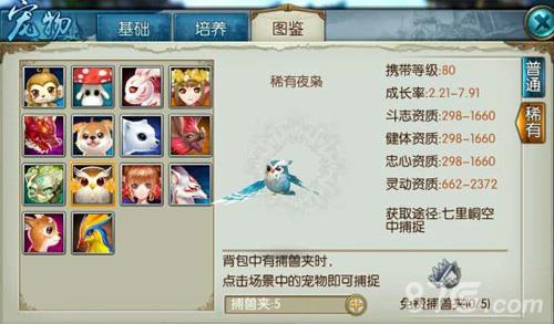 诛仙手游稀有夜枭怎么获得