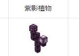 我的世界紫影植物怎么获得（我的世界紫颂植物怎么获得）